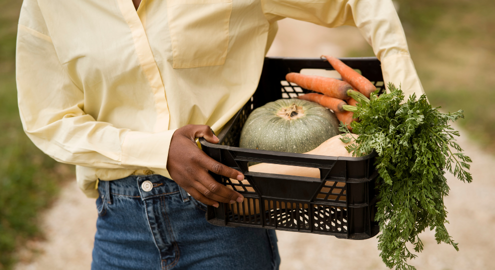 Comment lancer une activité agroalimentaire ?